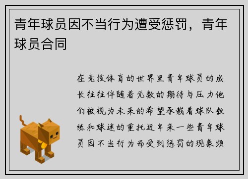青年球员因不当行为遭受惩罚，青年球员合同